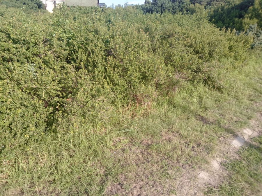 Commercial Property for Sale in Paradise Beach Eastern Cape